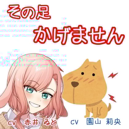 Cover of その足かげません