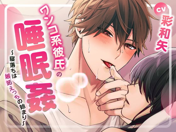 Cover of ワンコ系彼氏の睡眠姦～寝落ちは嫉妬えっちの始まり～